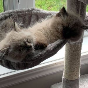 Meet your Posher, Bruno